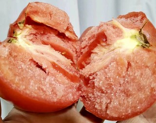 购后晒：沙瓤西红柿