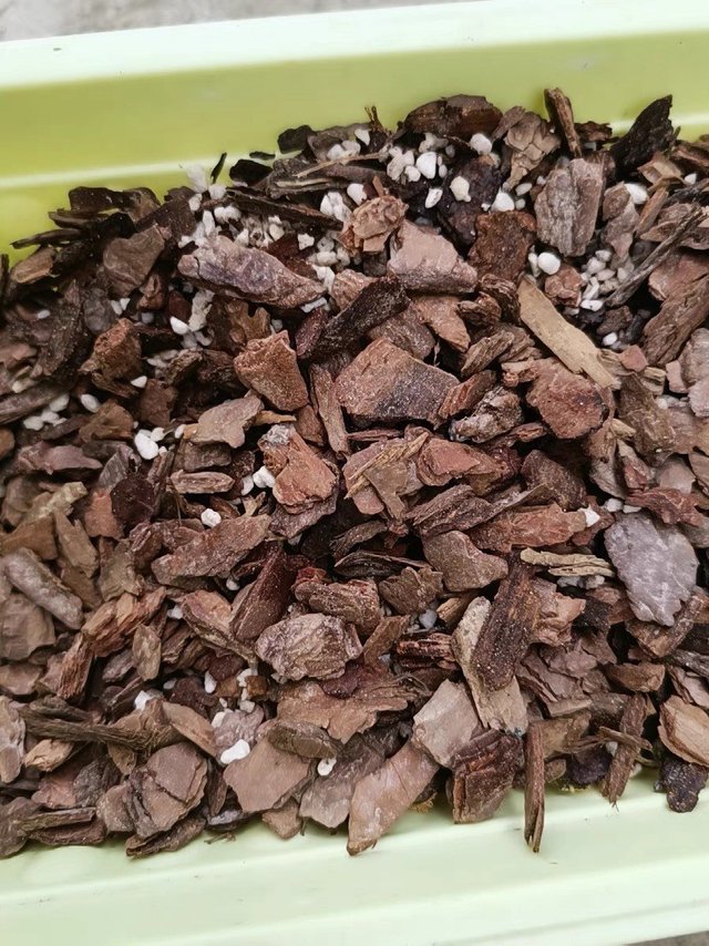 兰花专用土，养出美丽的兰花！