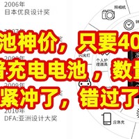 电池神价，只要40元，爱乐普充电电池 ，数量有限，需要的赶紧冲了，错过了再等一年。