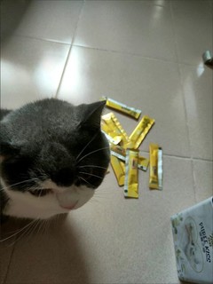 珍致猫零食猫条 吞拿鱼鸡肉10g*4支 进口猫湿粮肉泥 喵酱之吻系列