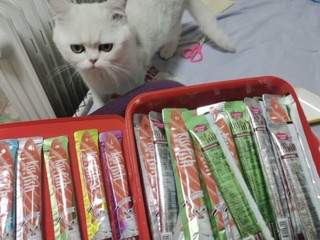 麦富迪 猫条14g*100条 成猫营养猫零食猫咪湿粮多口味混合装 5口味混合装14g*100条