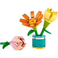 乐高（LEGO）积木好朋友系列FRIENDS30634友谊的花朵5岁+