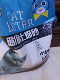 当代人的养猫消费，豆腐猫砂