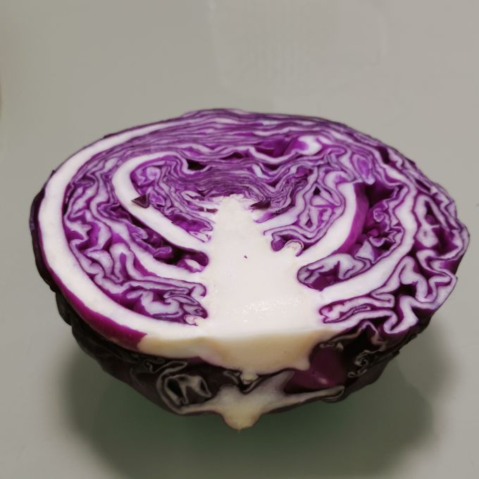 特别好看的紫甘蓝卷心菜