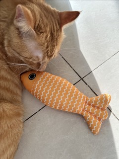 大橘最喜欢的玩具，仿真鱼！