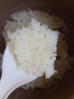 口感软糯，香气浓郁，发现好吃米饭