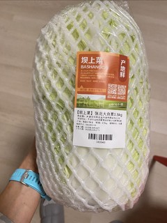 坝上大白菜哈哈