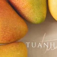 美味的芒果，你吃对了吗？- 营养师教你正确食用芒果