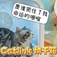 Catlink 智能烘干箱，高端的配置价格仅千元，不来了解一下？