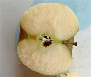 外表丑的苹果 有着冰糖心