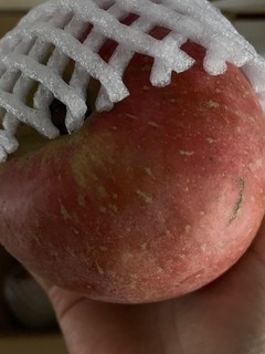 外表丑的苹果 有着冰糖心