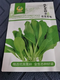 双11给你种草，鸡毛菜