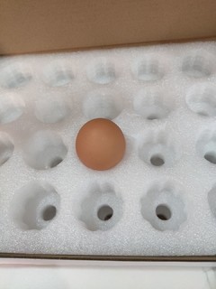 正大生食鸡蛋