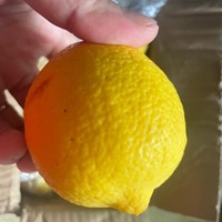 舌尖上的美食 篇六：柠檬，清新的健康之选
