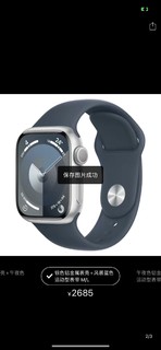 Apple 苹果watch series 9 智能手表 GPS款 45mm 银色+风暴蓝色