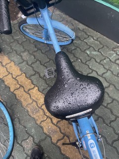 早上下了雨，自行车的座湿了