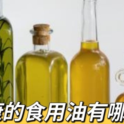 橄榄油？亚麻籽油？哪种健康食用油更适合你？ 了解不同健康食用油的特点，选择适合自己的油！