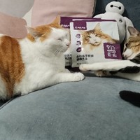 猫粮狗粮 篇六：网易严选双拼猫粮，值得猫猫守候开袋（最后有彩蛋）