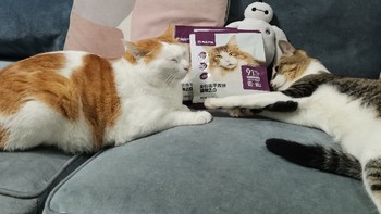 猫粮狗粮 篇六：网易严选双拼猫粮，值得猫猫守候开袋（最后有彩蛋）