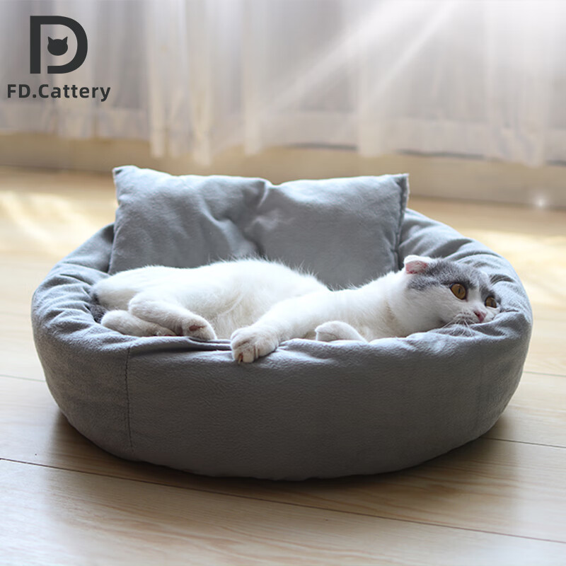 猫窝推荐：为你的爱猫打造舒适生活空间