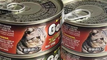 猫猫爱吃的罐头分享