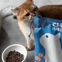 纯福全价全期猫粮无谷酶解鸡肉幼猫成猫专用主食