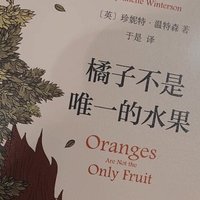 好书推荐 篇十七：为了一句话，读了一本《橘子不是唯一的水果》！