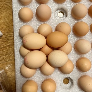 京鲜生17.9元的鸡蛋我买了，看了评论会不会是翻车