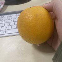 双十一买的大橙子，便宜又好吃