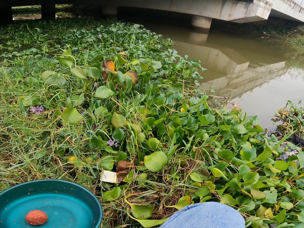 客友擒龙休闲二代，新手不建议入手