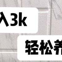 打工人月入3000也能轻松养猫！