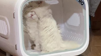 🐾小佩宠物烘干箱MAX, 专为猫咪洗澡吹干而设计，是每个宠物家庭的必备神器！