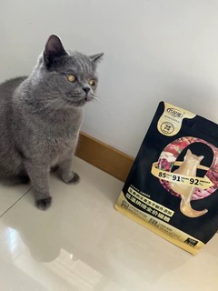 巧贝滋低温烘焙猫粮，猫咪的高光时刻