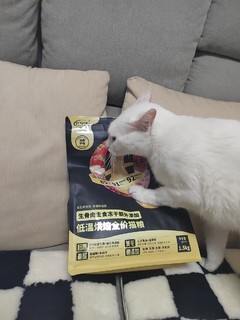 吃货福音！这款猫粮让你家的猫狂爱不止