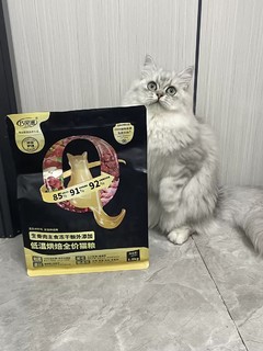 新手养猫必备：超赞猫粮，养猫不迷路！