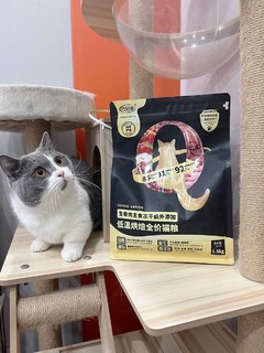 猫子超爱的新宠-巧贝滋低温烘焙猫粮