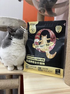 猫子超爱的新宠-巧贝滋低温烘焙猫粮