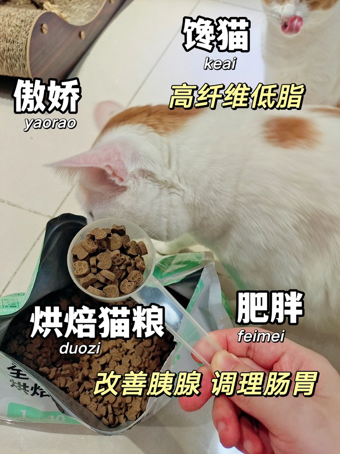 猫粮