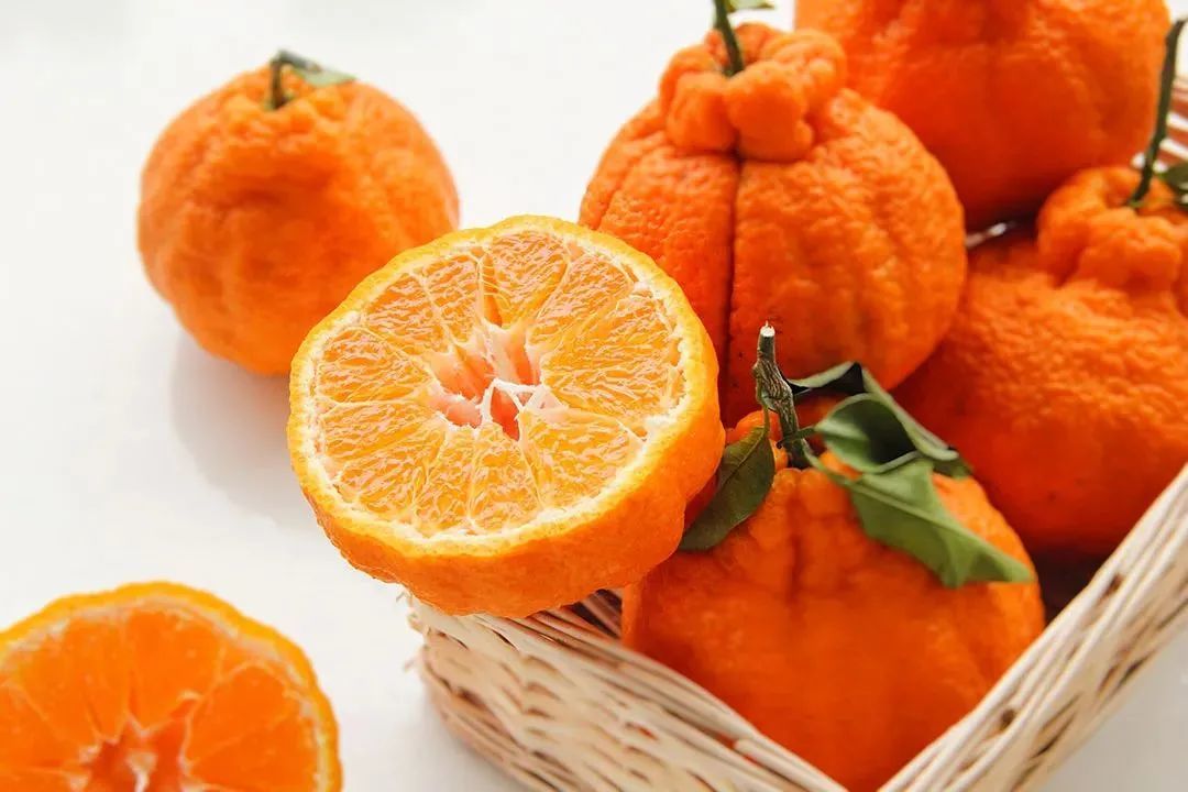 真丑橘表皮粗糙、果皮黄橙色、无光泽、无规则的凸凹不平，果实上部有明显的突起短颈。©图虫创意