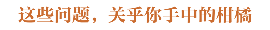 酸甜清爽、徒手榨汁，中国柑橘到底有多“卷”？