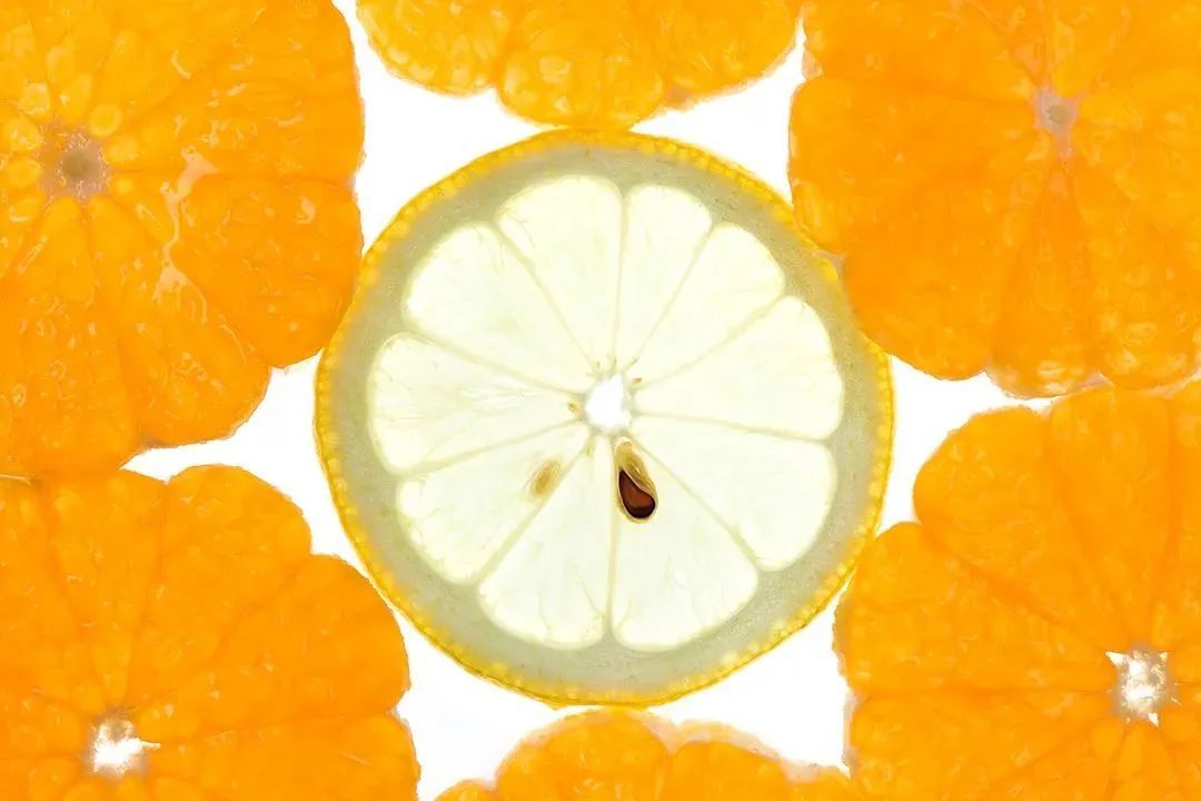 柑橘的果皮分为3层。外果皮致密，富含油脂；中果皮最内层是网状结构，通常被称为橘络；内果皮分隔成不同的小单元，被称为瓢囊。可食用部分就是瓢囊里面的汁胞。 ©图虫创意