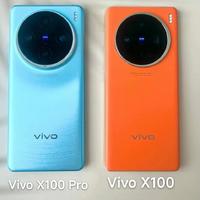 vivoX100和vivo X100Pro的区别是什么？怎么感觉就电池大小不一样