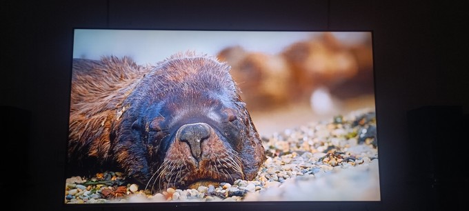 海信电视