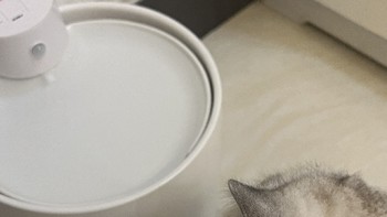 1猫咪自动饮水机进口技术无线陶瓷恒温加热饮水器循环过滤涌动活水