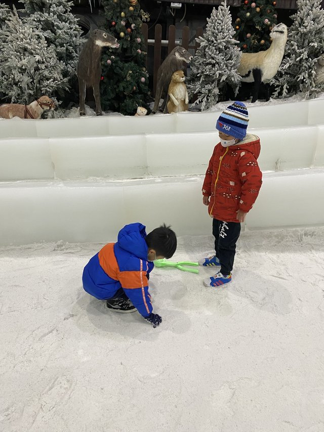 南方的孩子真惨，只能在室内玩一玩雪