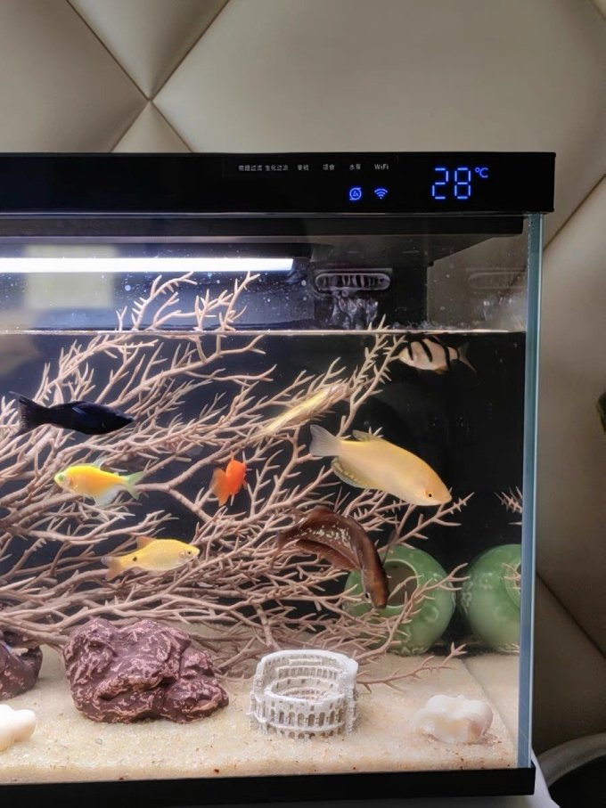 米家智能家居怎么样 颜值挺高的小米智能鱼缸_什么值得买