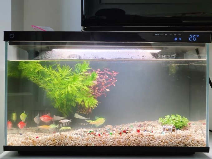 米家智能家居怎么样 小米智能鱼缸_什么值得买