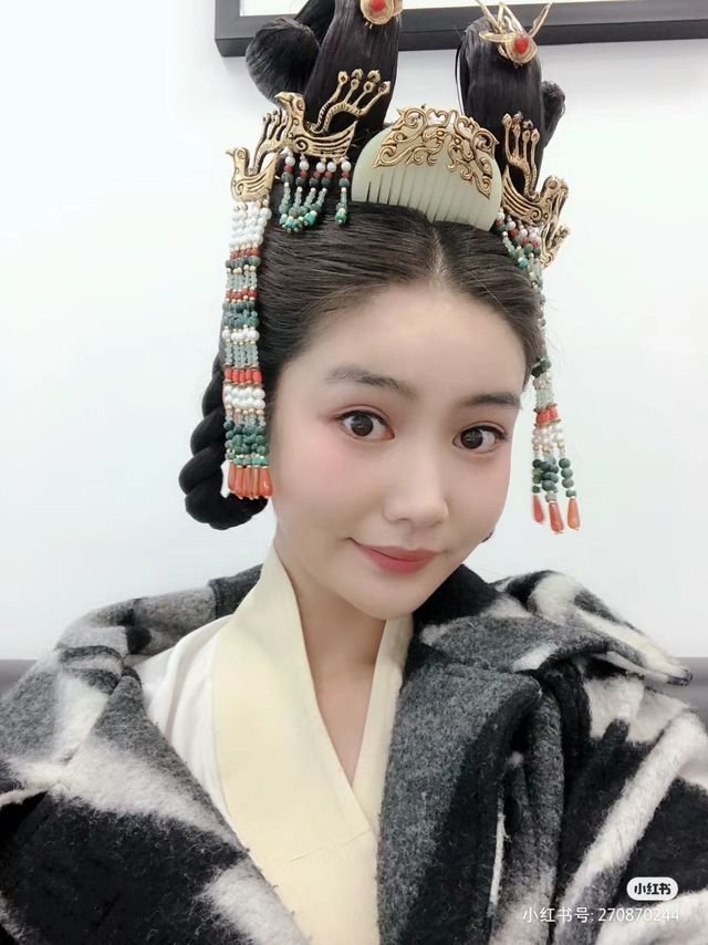 肠胃不好的猫猫吃什么猫粮