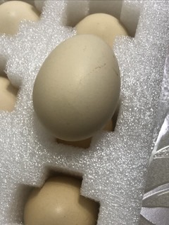 一分钱买的6个鸡蛋，没想到还挺不错。