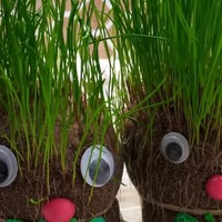 草头娃娃：迷你卡通儿童小植物盆栽，室内阳台的抖音同款猫草批发